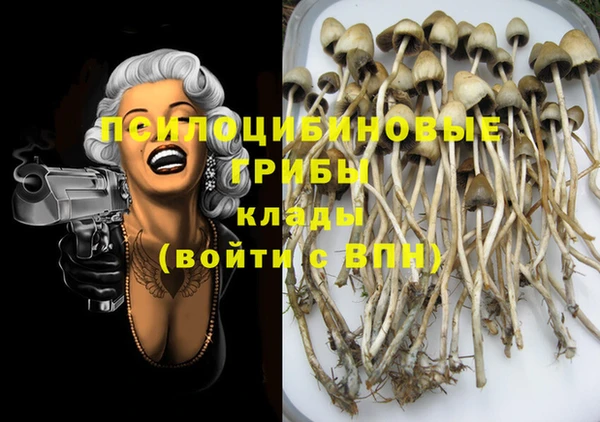 шишки Костерёво