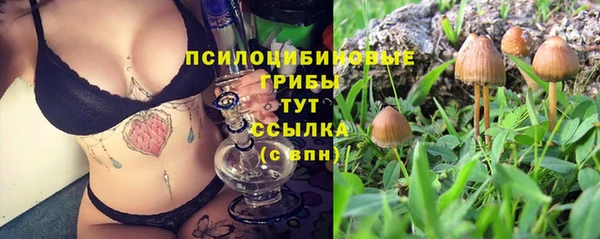 винт Коряжма
