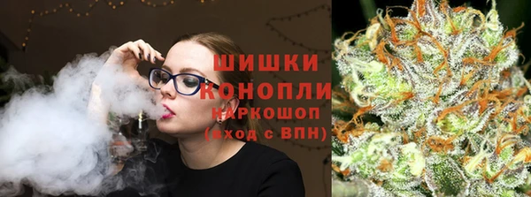шишки Костерёво