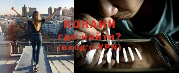 шишки Костерёво