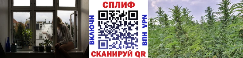 Купить закладки  Великий Новгород  Бошки марихуана VHQ 